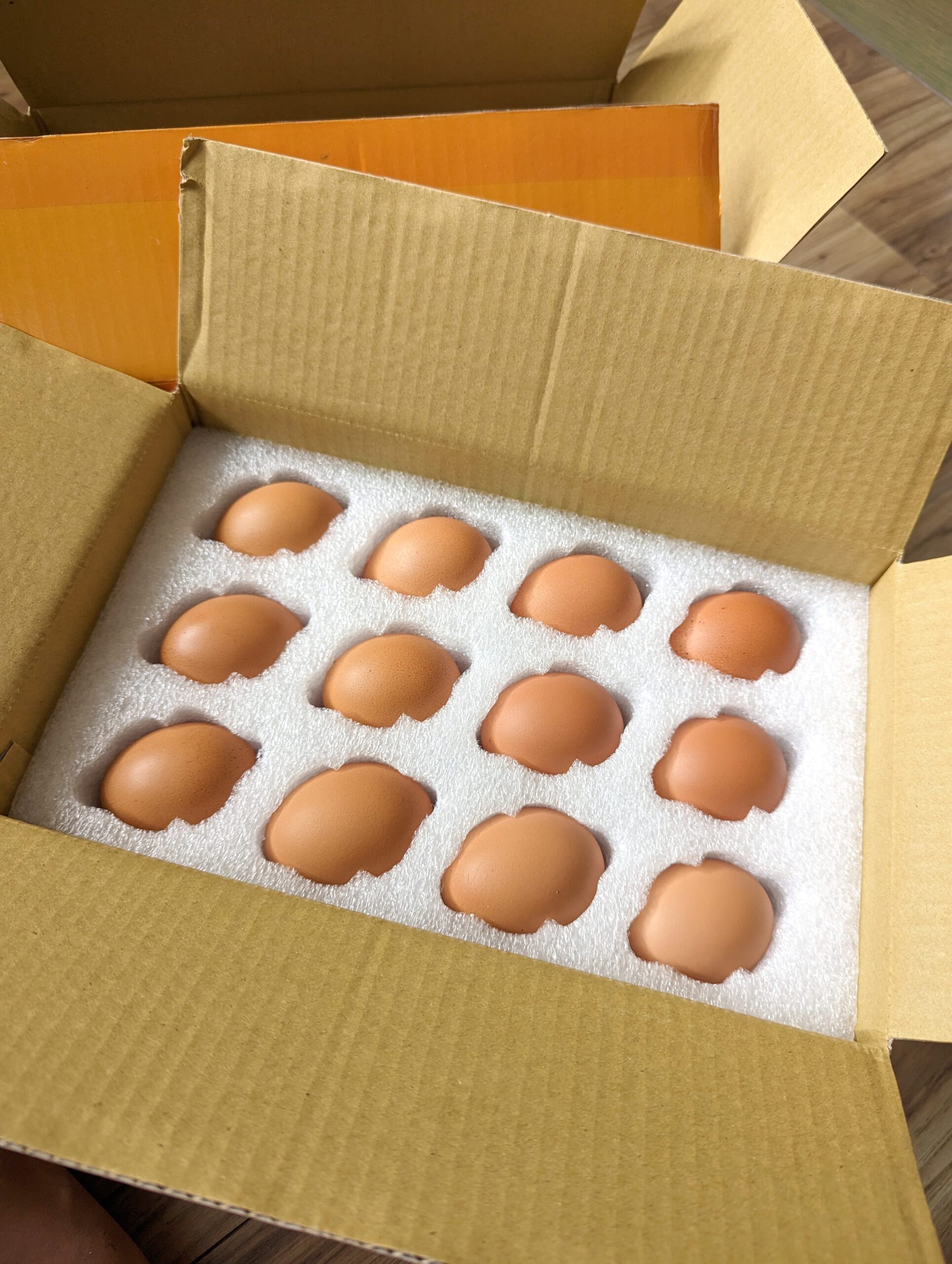 川峰牧場-紅殼紅仁土雞蛋+紅殼紅人牛樟芝土雞蛋+土雞蛋手工蛋捲／只有自由的雞才能產出這麼好吃的雞蛋 @Rosa的秘密花園
