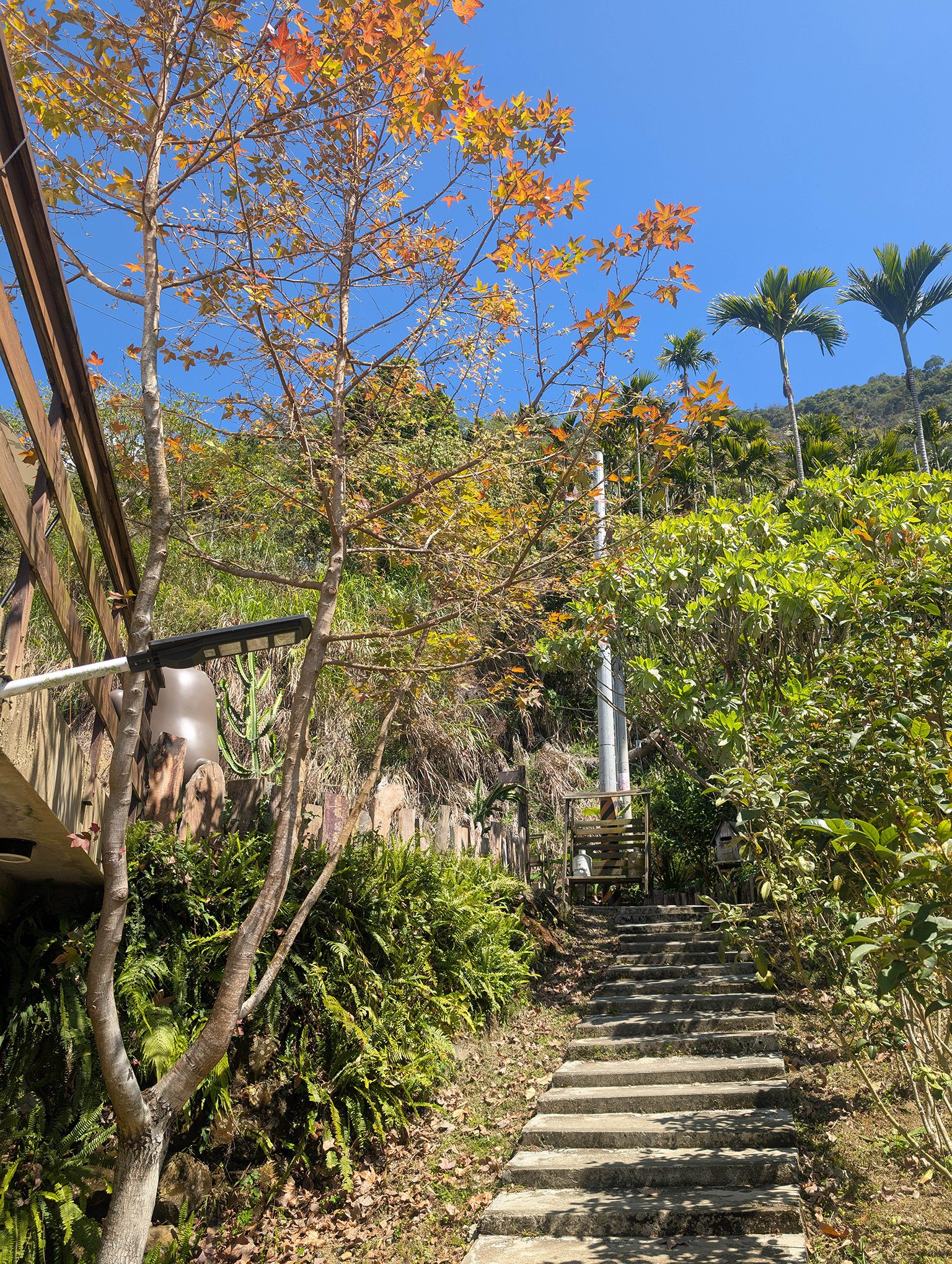 『跟著阿露去旅行』南投國姓雲享清峰／乾淨舒適好環境、夕陽山景好風光 @Rosa的秘密花園