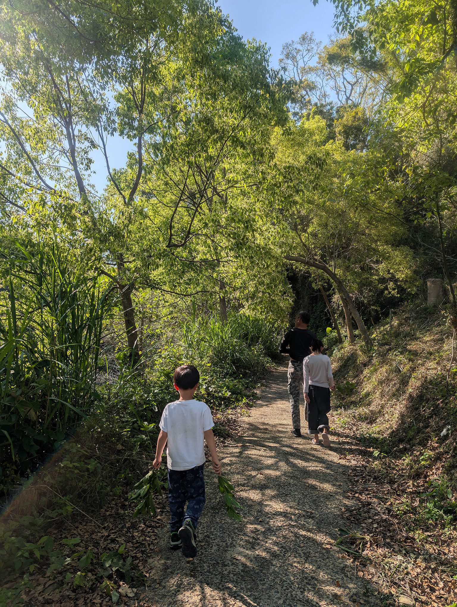 『跟著阿露去旅行』苗栗大湖Camp Sora露營區／有讓小孩瘋狂的滑草區、還有供應熱水的流理台、洗碗不再是折磨！ @Rosa的秘密花園