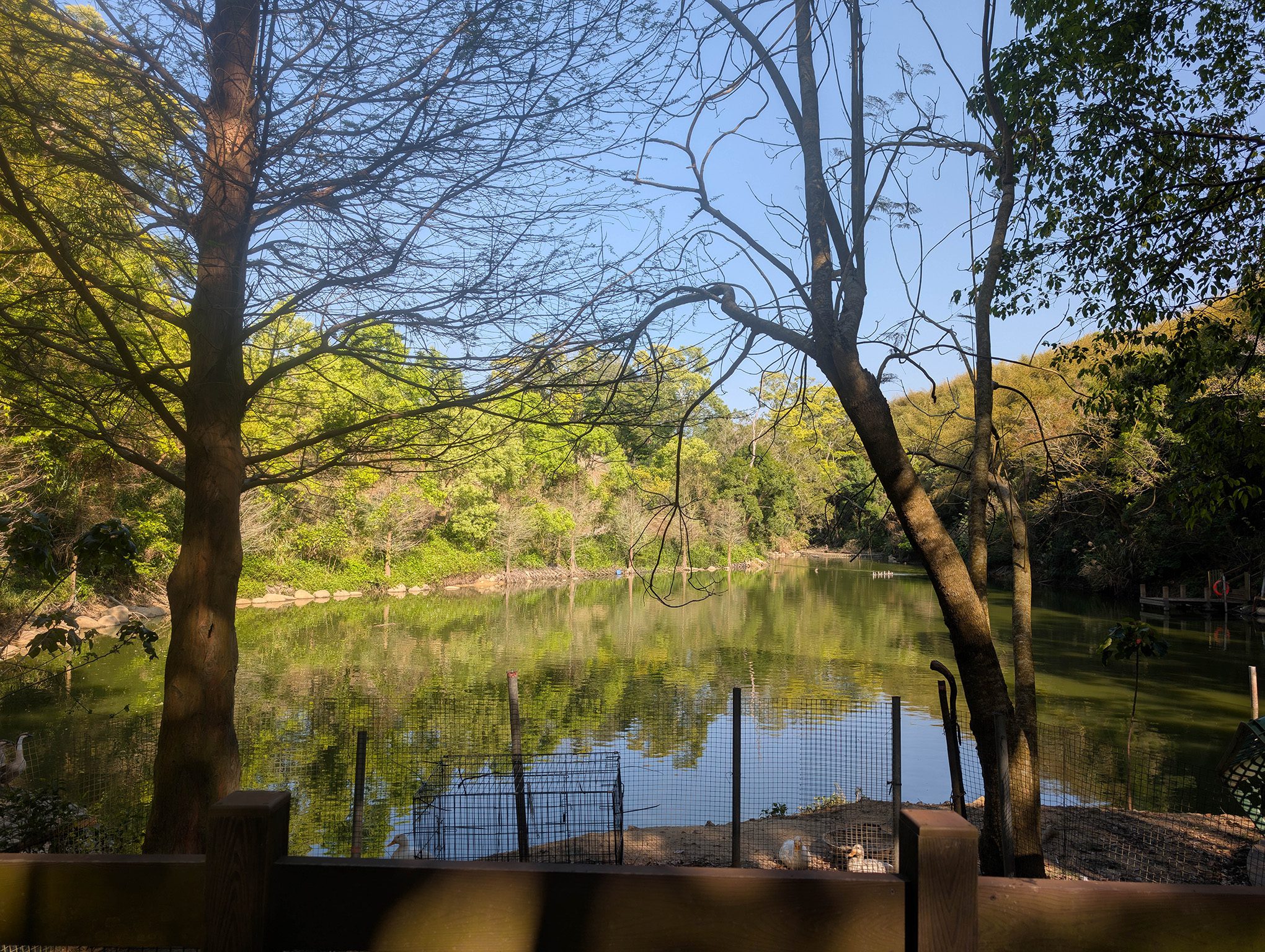 『跟著阿露去旅行』苗栗大湖Camp Sora露營區／有讓小孩瘋狂的滑草區、還有供應熱水的流理台、洗碗不再是折磨！ @Rosa的秘密花園