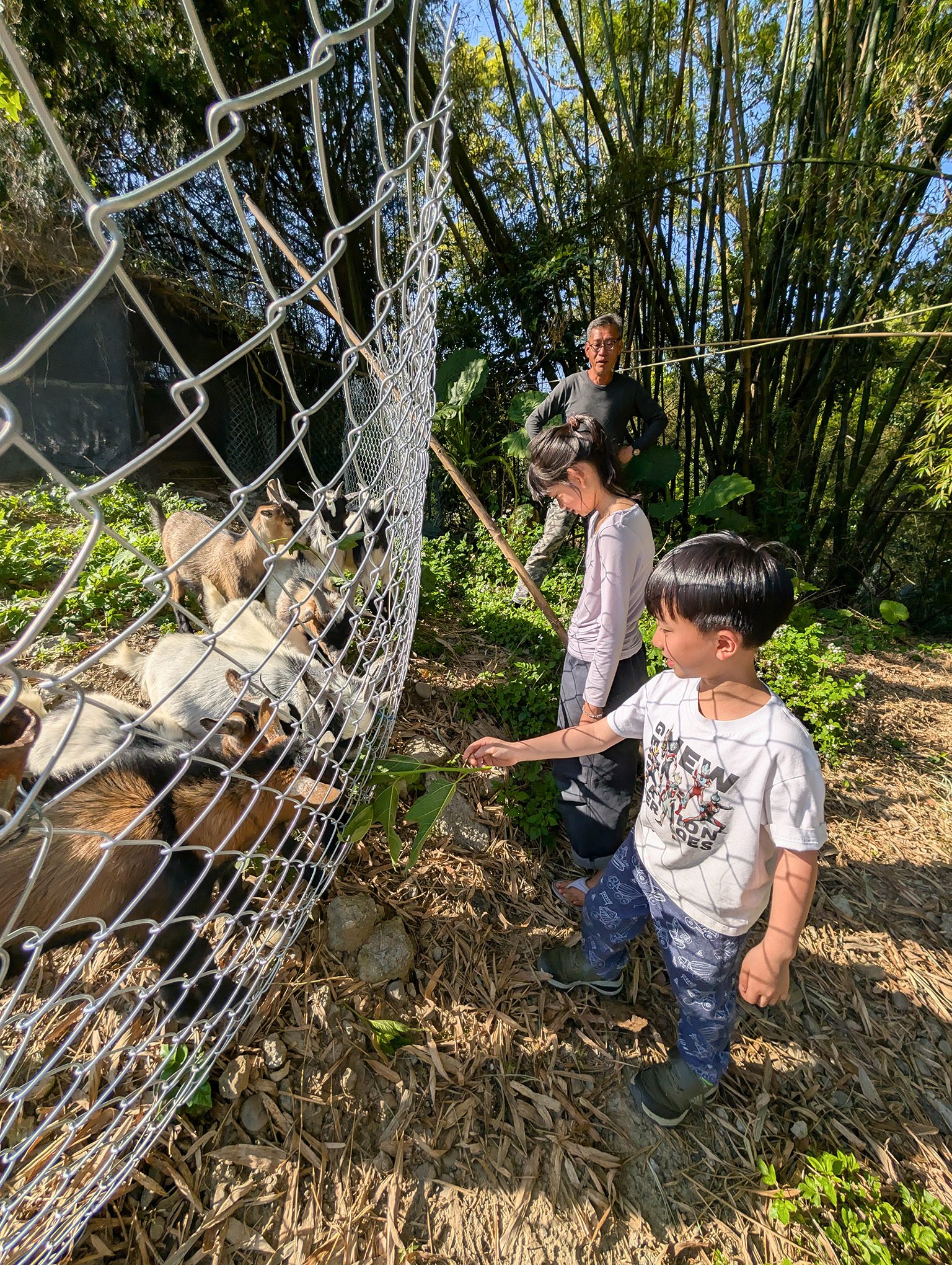 『跟著阿露去旅行』苗栗大湖Camp Sora露營區／有讓小孩瘋狂的滑草區、還有供應熱水的流理台、洗碗不再是折磨！ @Rosa的秘密花園