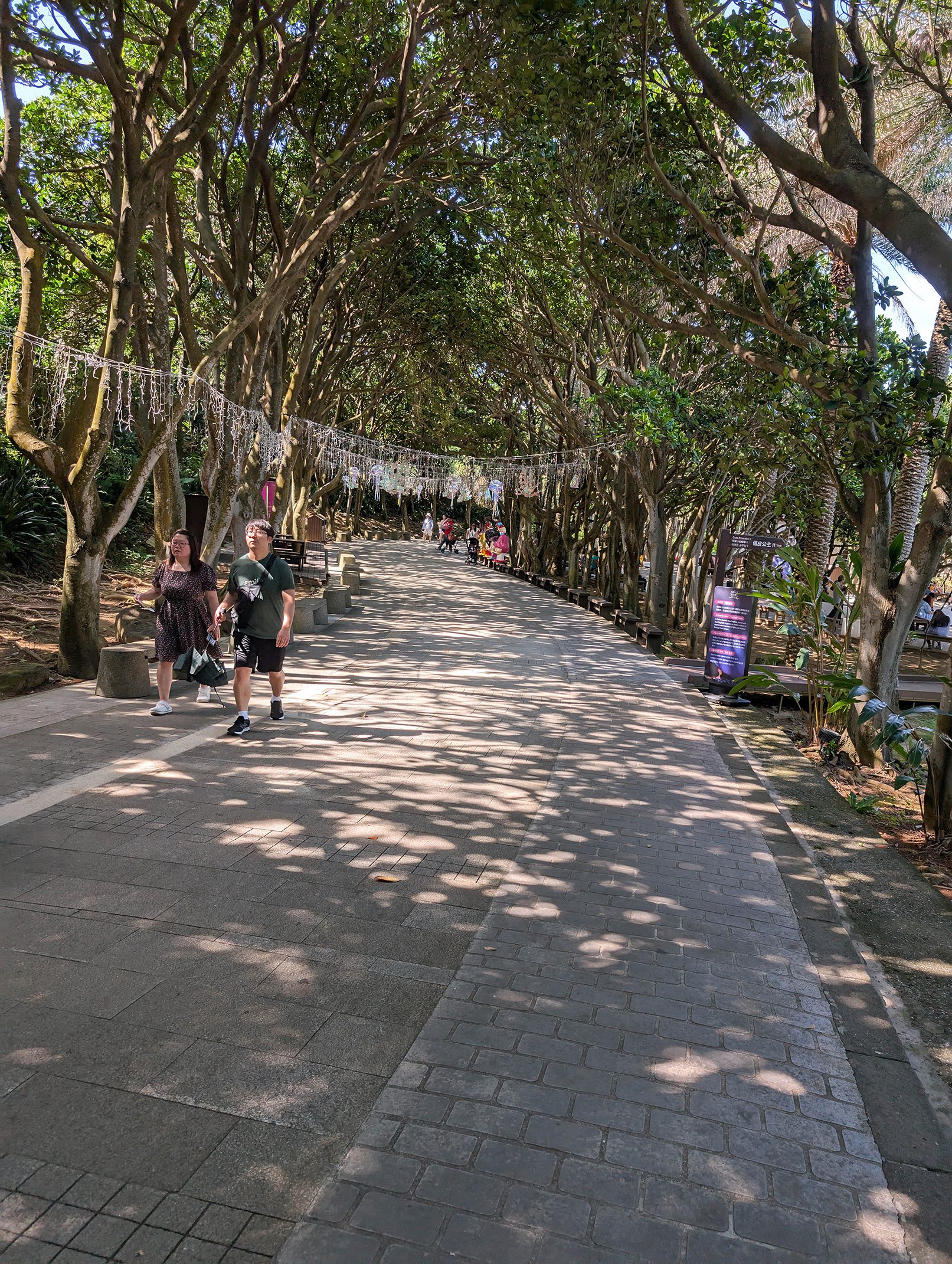 『跟著阿露去旅行』石門洞抓寄居蟹／野柳女王頭初體驗兼曬傷之旅／龜吼漁港吃海鮮／路邊海膽伯最實在 @Rosa的秘密花園