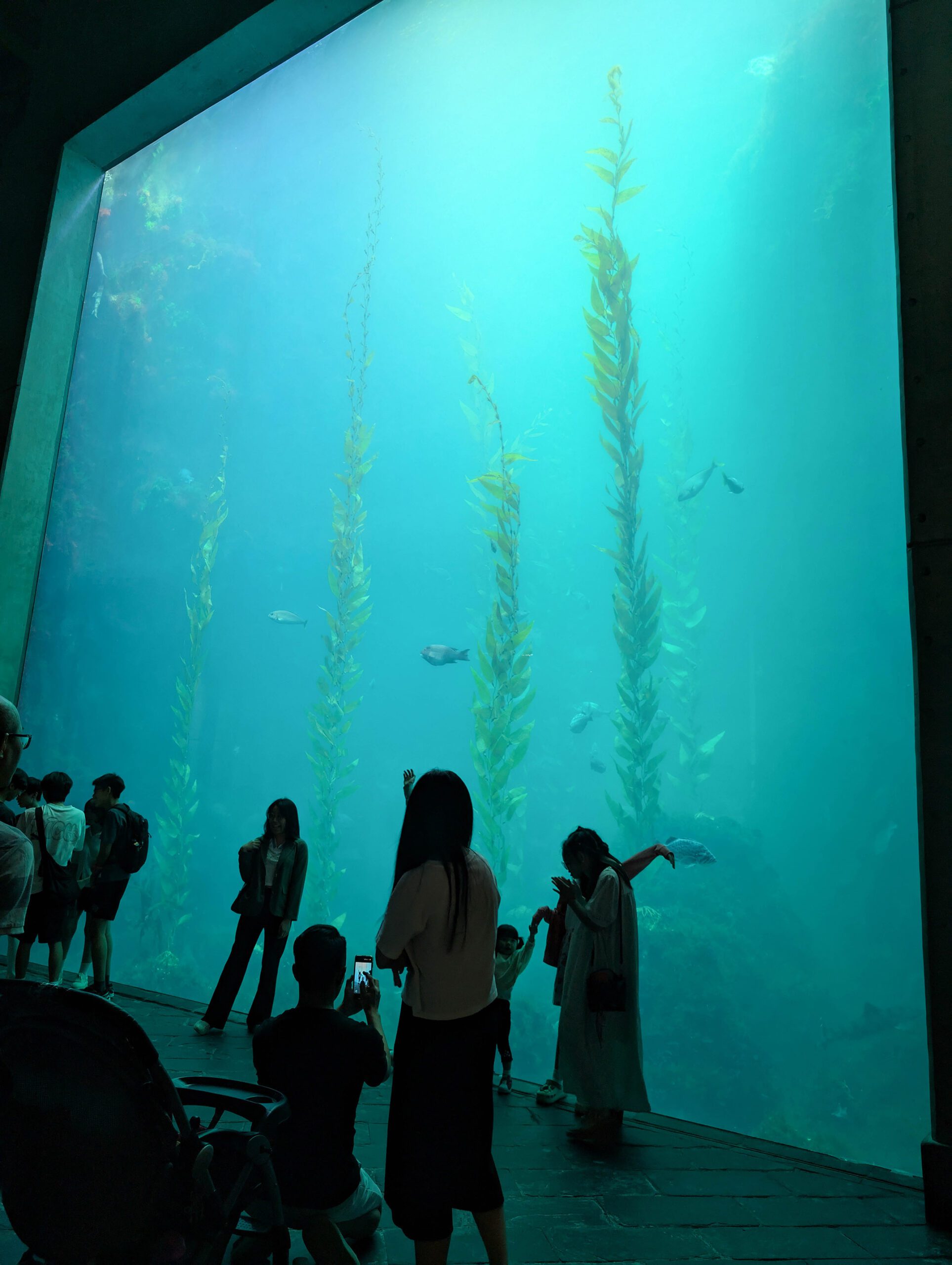 『跟著阿露去旅行』露營車環島系列Day 2／鹿野高台熱氣球撲了空、知本雨中泡湯去、屏東國立海洋生物博物館初體驗 @Rosa的秘密花園